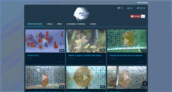 Desktop Screenshot of discusvigo.com